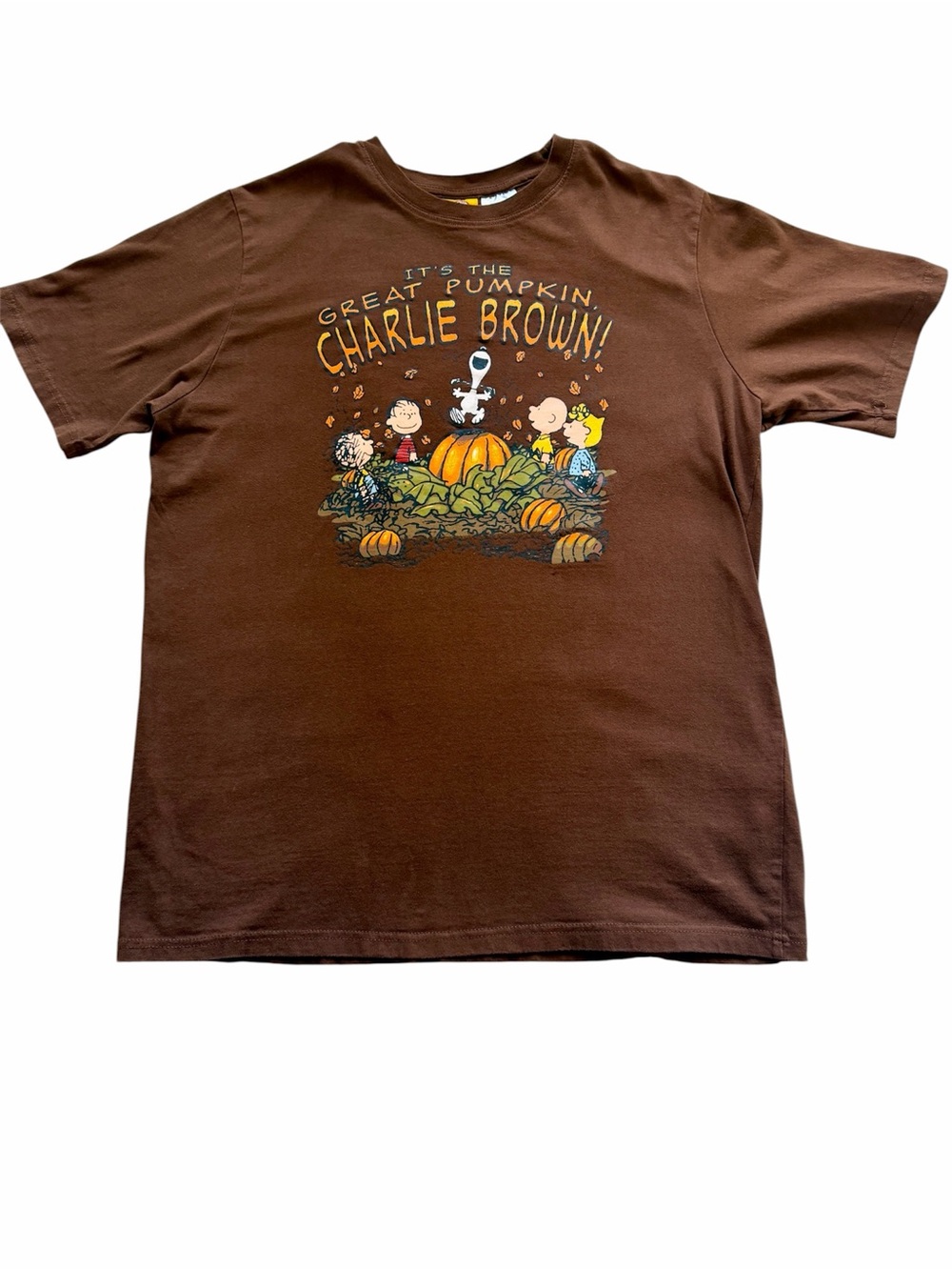 Vtg Peanuts Mens Large
Brown Great Pumpkin Charlie
Brown Halloween T-Shirt